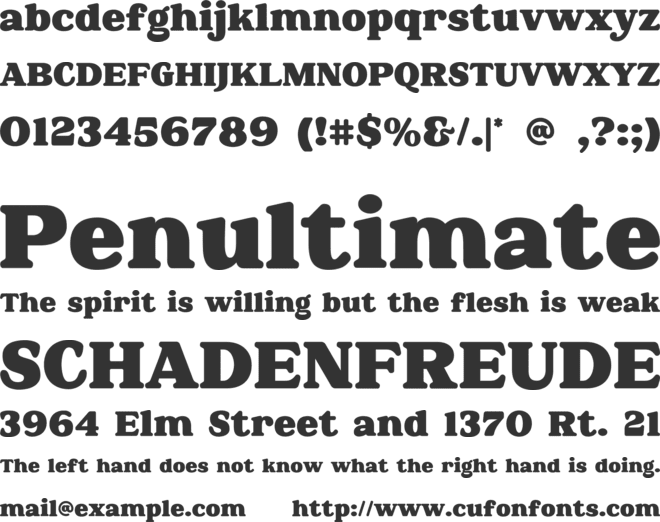 Holistic Retro Personal font preview