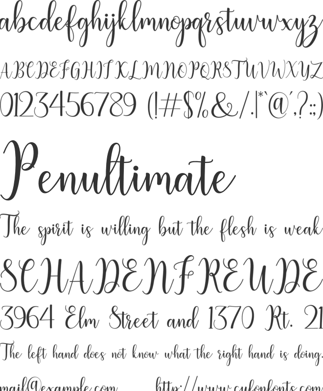 Litesha Script font preview