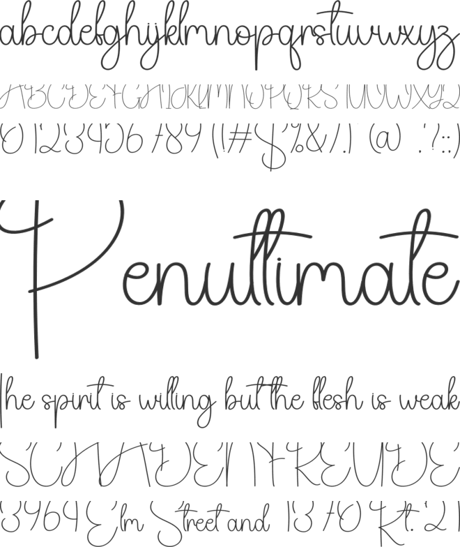 Vintage Signature font preview