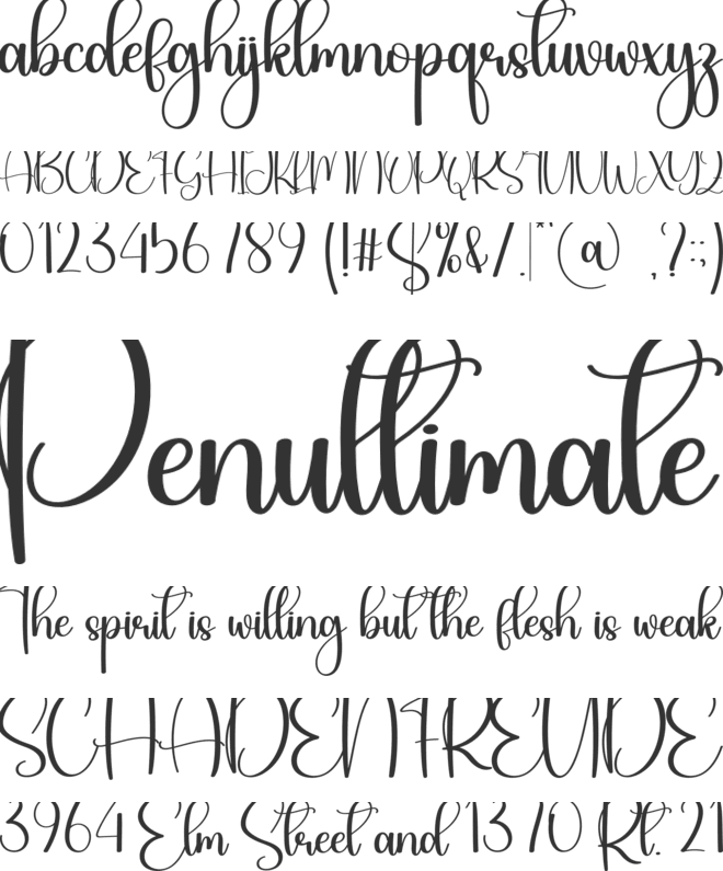 Special Handwritting font preview