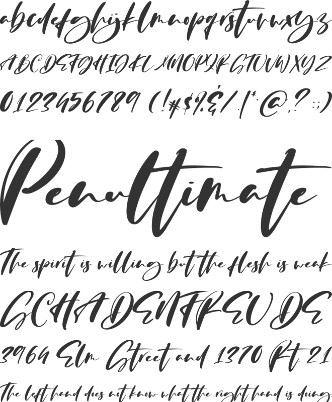 The Customs font preview