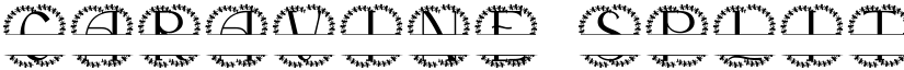 Caravine Split Monogram font