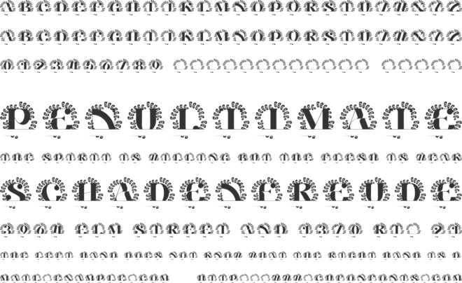 Avelynne Split Monogram font preview