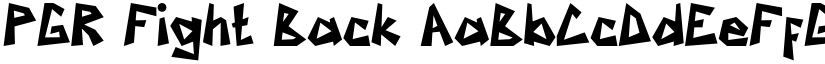 PGR Fight Back font download