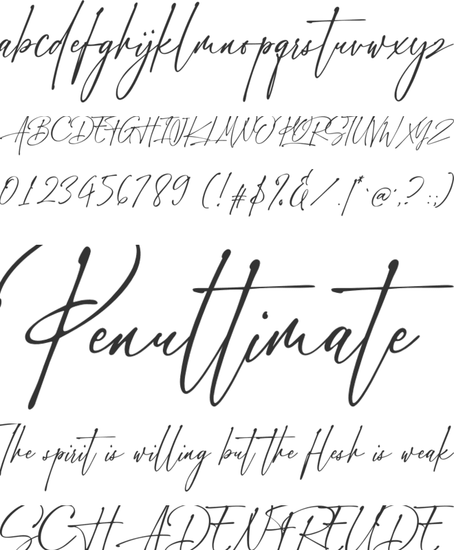 Chicnatures font preview