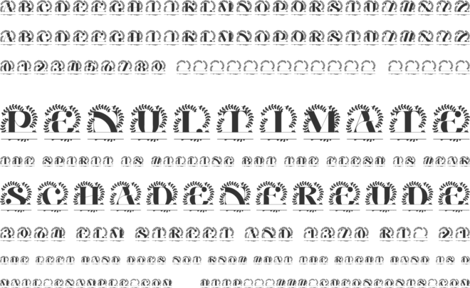 Montclaire Split Monogram font preview