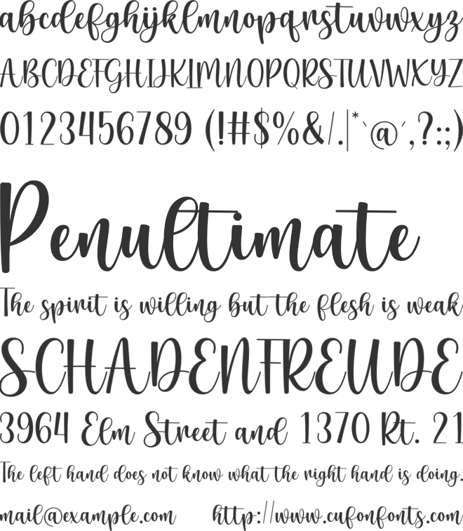 Mormon Awesome Script font preview
