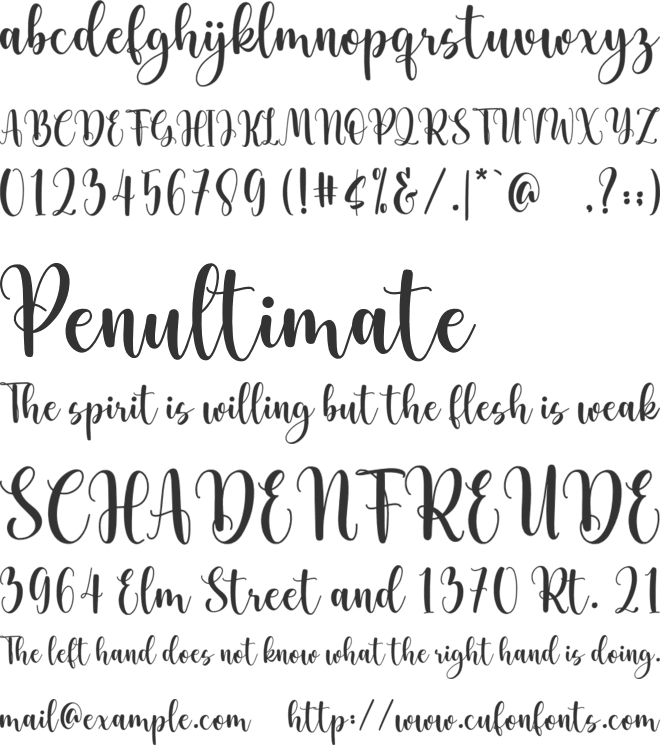 Buffalo Wings font preview