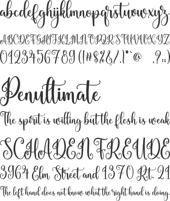 Christmas Holiday font preview