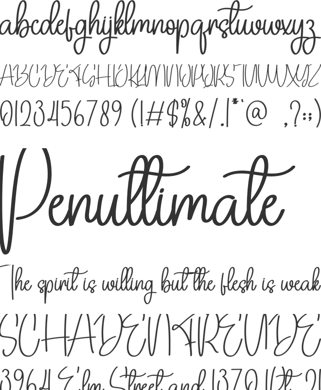 Eliana Signature font preview