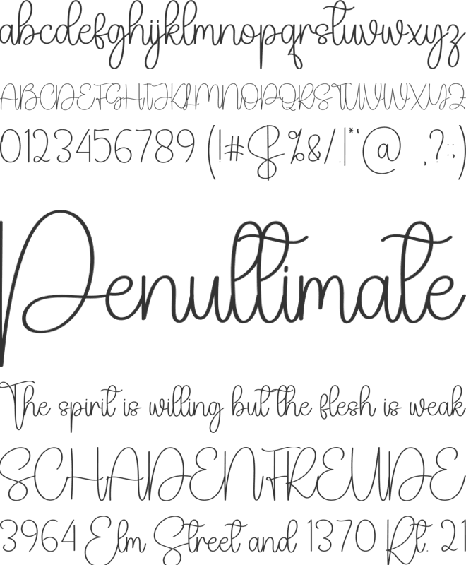 Yogaday font preview