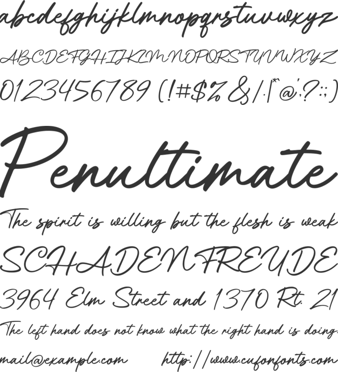 Aittemia Seikage font preview
