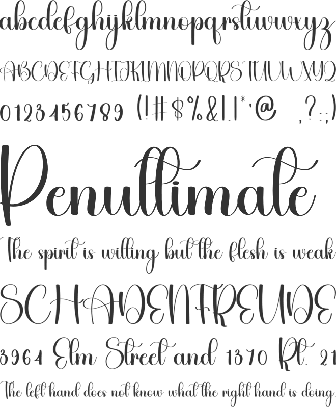 Birthday Jungle font preview