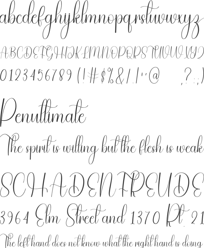 Smart Autography font preview