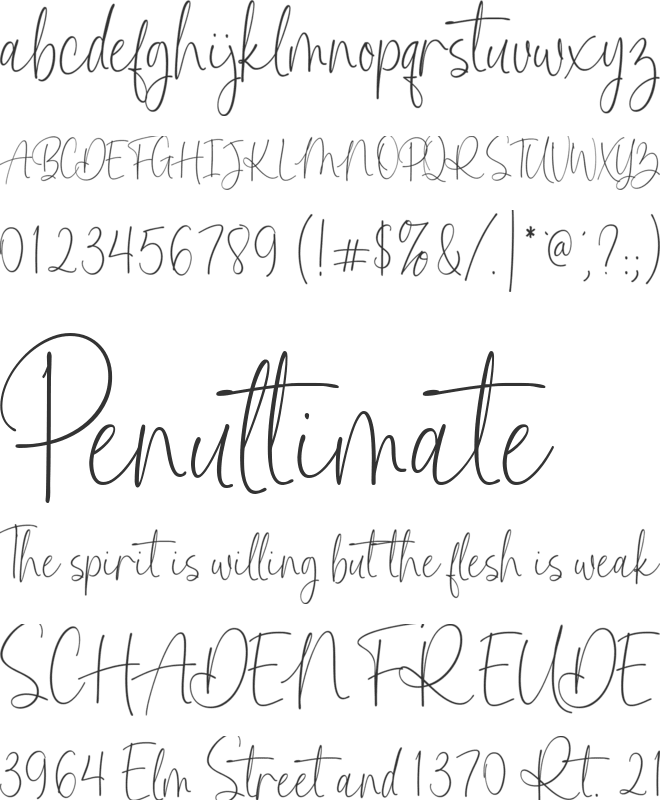 Kimberly Morgan font preview