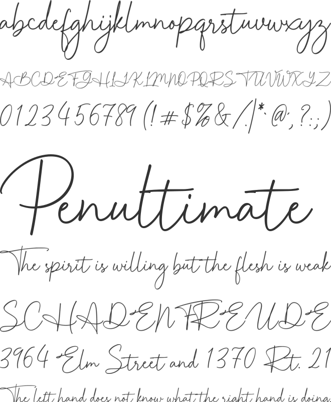 Joyful Wakayama font preview