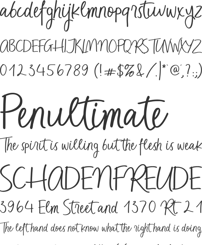 Raspberry Bonanza font preview