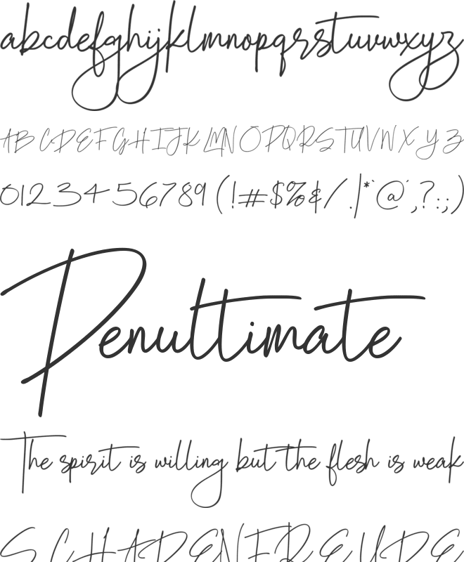 Norouya Aveny font preview