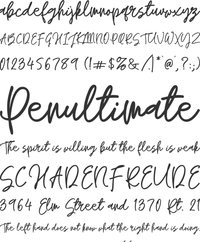Marigold Symphony font preview