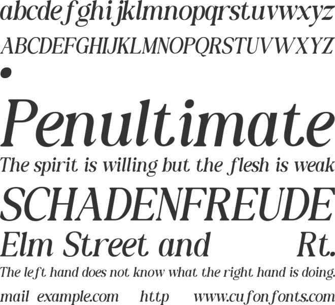 THE SHUFFLE font preview
