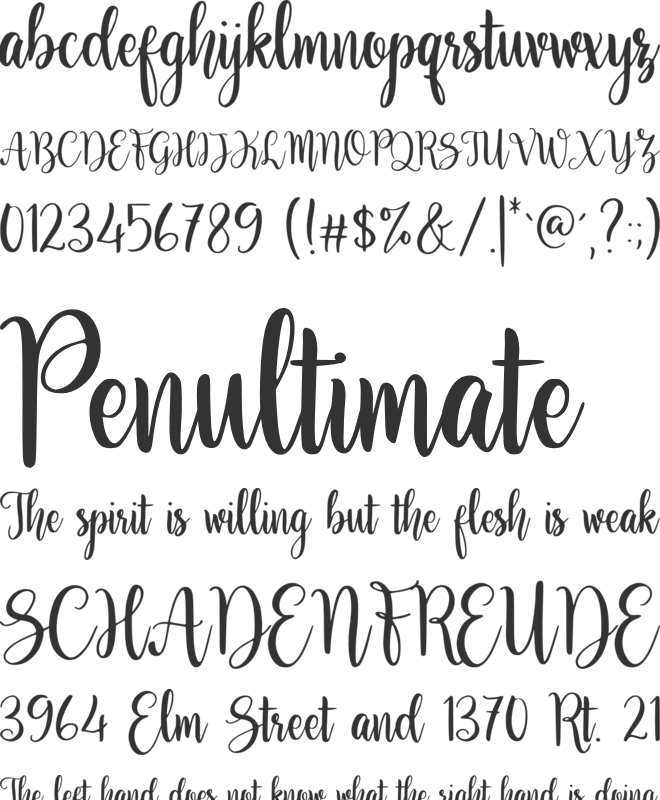 Aglonema font preview