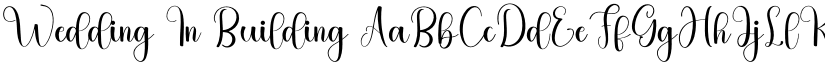 Wedding In Building font