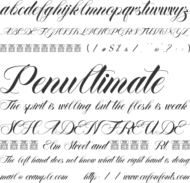 Zestful Christmas-Personal Use font preview