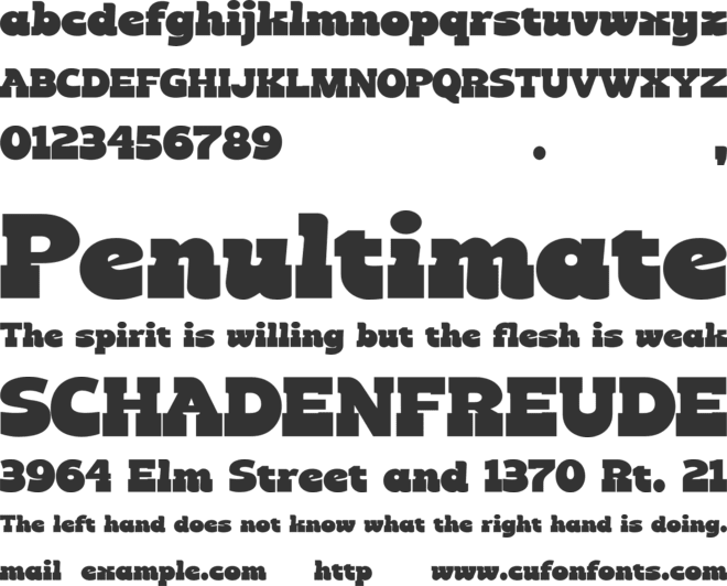 Monday Tuesday font preview