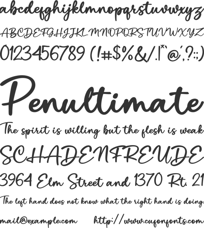 Blottocke font preview