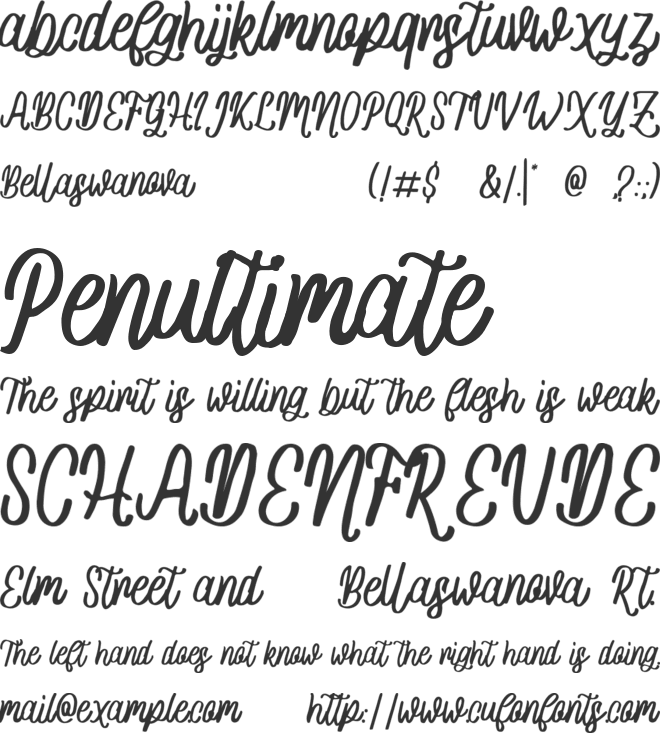 Bellaswanova font preview
