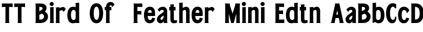 TT Bird Of  Feather Mini Edtn font