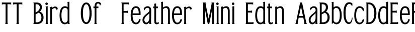 TT Bird Of  Feather Mini Edtn font