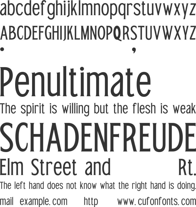 TT Bird Of  Feather Mini Edtn font preview