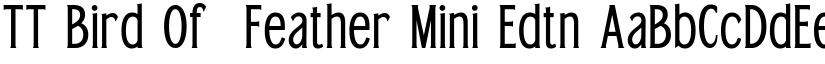 TT Bird Of  Feather Mini Edtn font download
