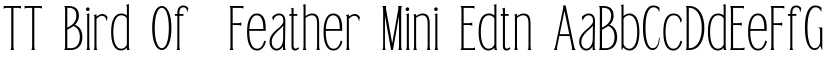 TT Bird Of  Feather Mini Edtn font