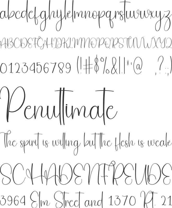 Majestic Value font preview