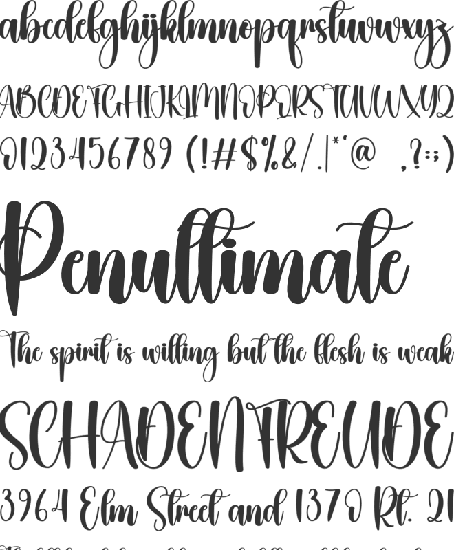 Hey Saturday font preview