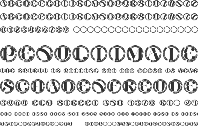 Avinelle Monogram font preview