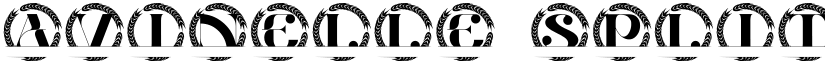 Avinelle Split Monogram font