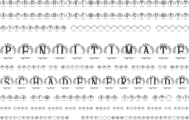 Finaris Split Monogram font preview