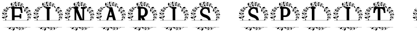 Finaris Split Monogram font