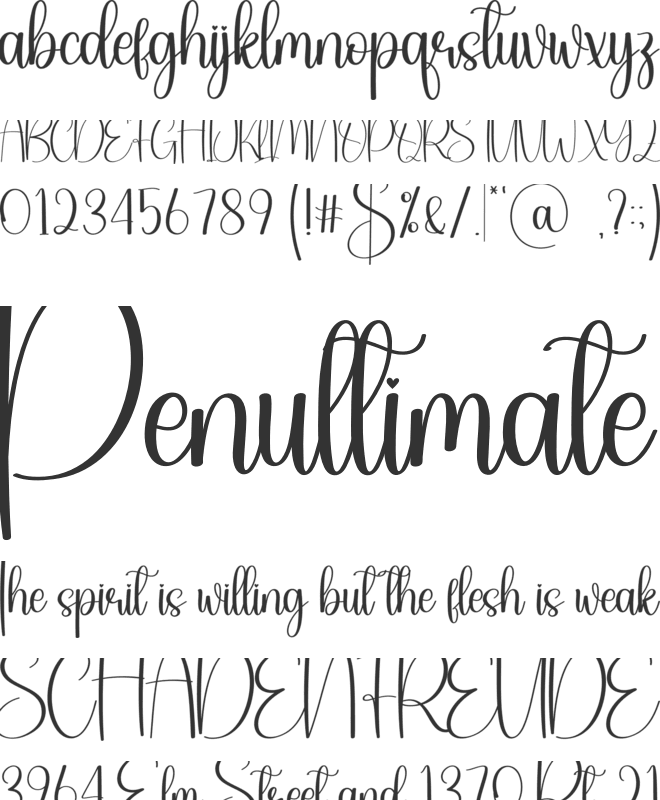 Vintage School font preview