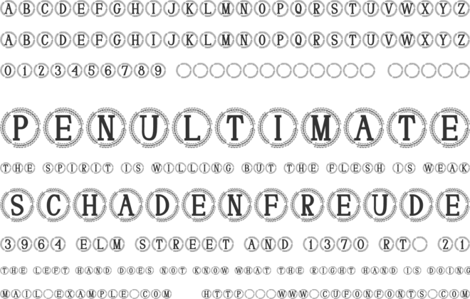 Fleurwyn Monogram font preview