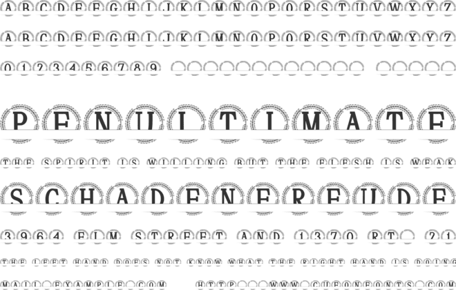 Fleurwyn Split Monogram font preview