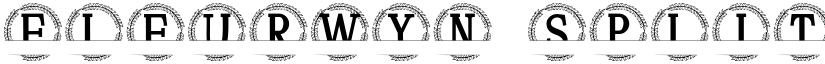 Fleurwyn Split Monogram font