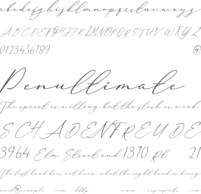 Angelica Signature font preview