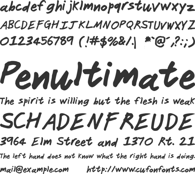 Janitor font preview