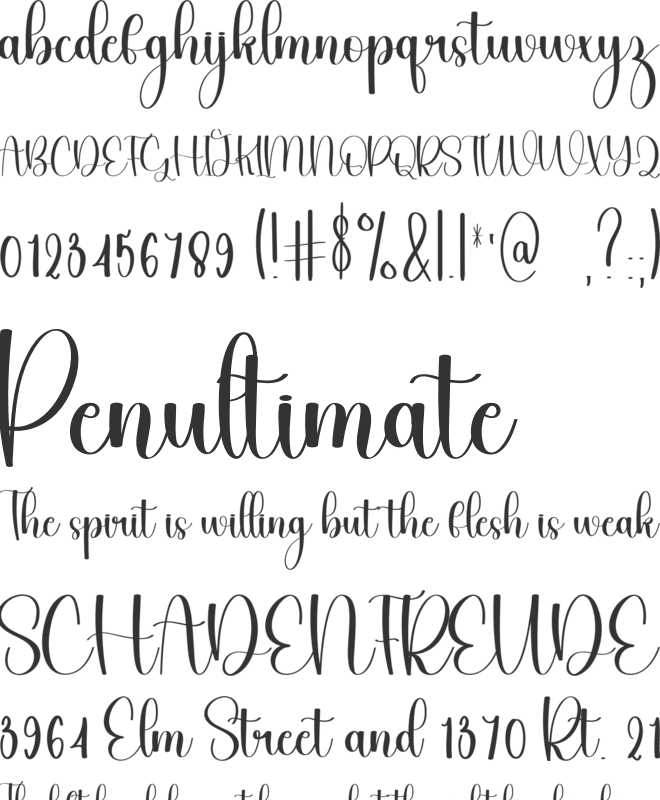 Rustic Party font preview