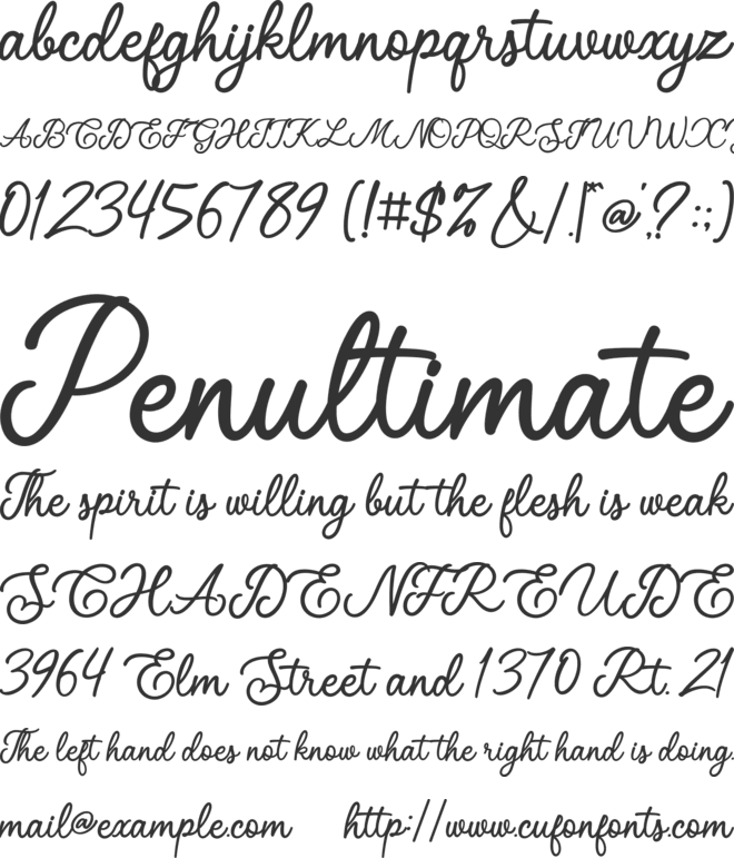 Cattalague font preview