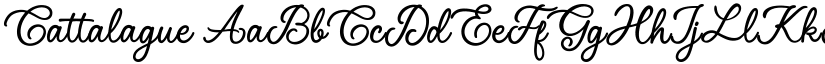 Cattalague font download